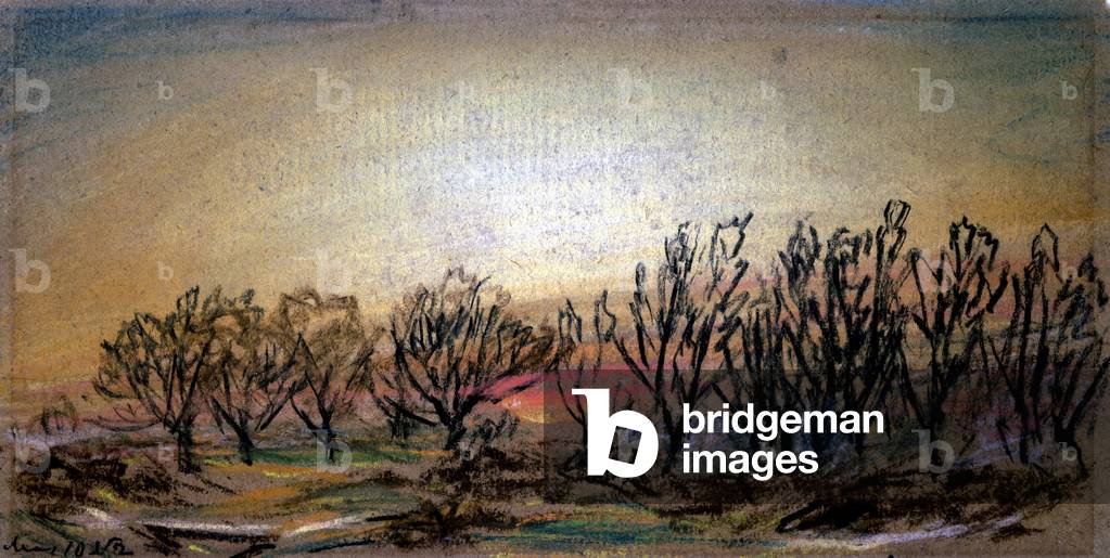 Afterglow Following Sunset, 10th May 1884 (pastel on paper)