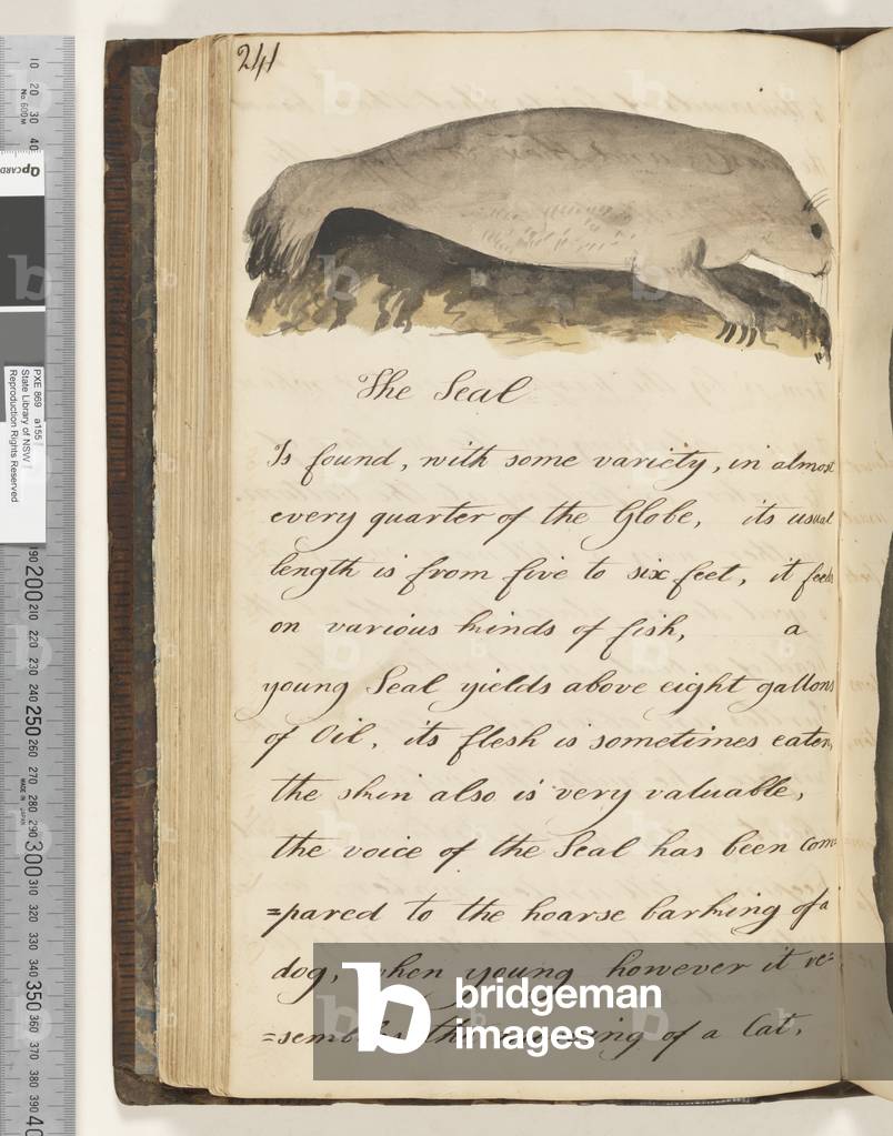 Page 241. The Seal, 1810-17 (w/c & manuscript text)