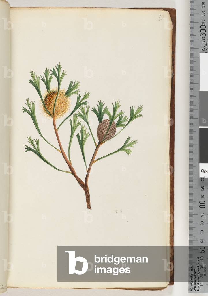 Page 19. Givee en (Watling 467/402) (w/c)
