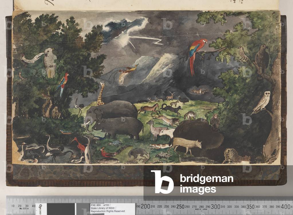 Frontispiece: Untitled, Peaceable Kingdom, landscape with birds and animals, 1810-17 (w/c & manuscript text)