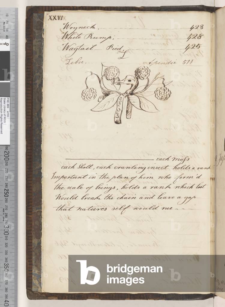 Index continued, 1810-17 (w/c & manuscript text)