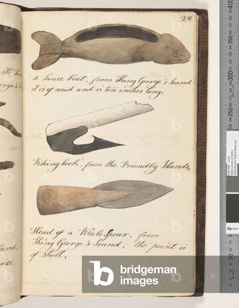 Page 216. A Sauce, boat, from King George's Sound; fishing hook, from the Friendly Islands; head of a whale spear, from King George's Sound, the point is of shell, 1810-17 (w/c & manuscript text)
