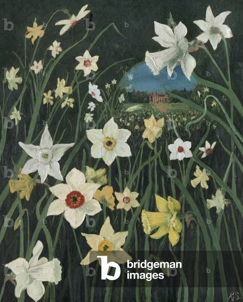 Daffodils (oil on canvas)