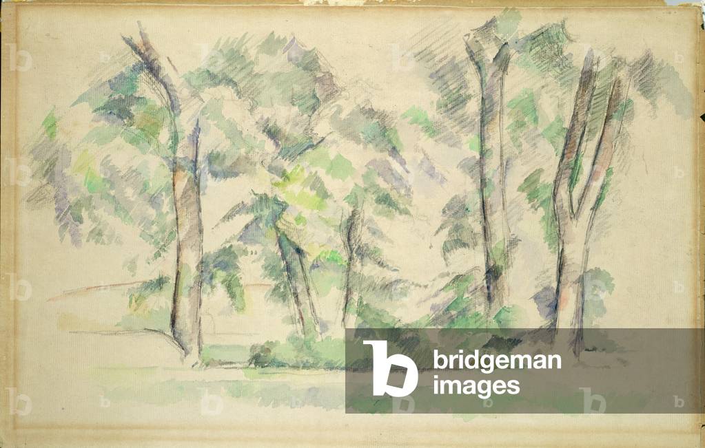 Bild von Zeichnung "Die großen Bäume bei Jas de Bouffan", 19. Jahrhundert von Paul Cezanne