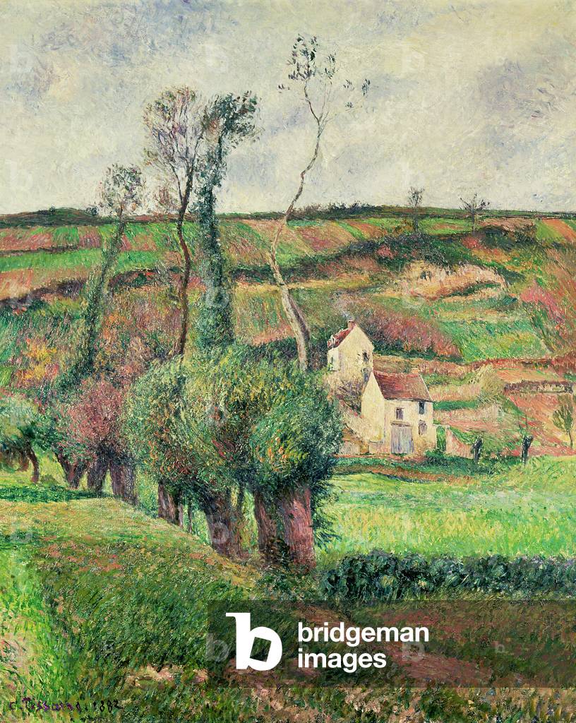 The Cabbage Slopes, Pontoise, 1882 (olio su tela)