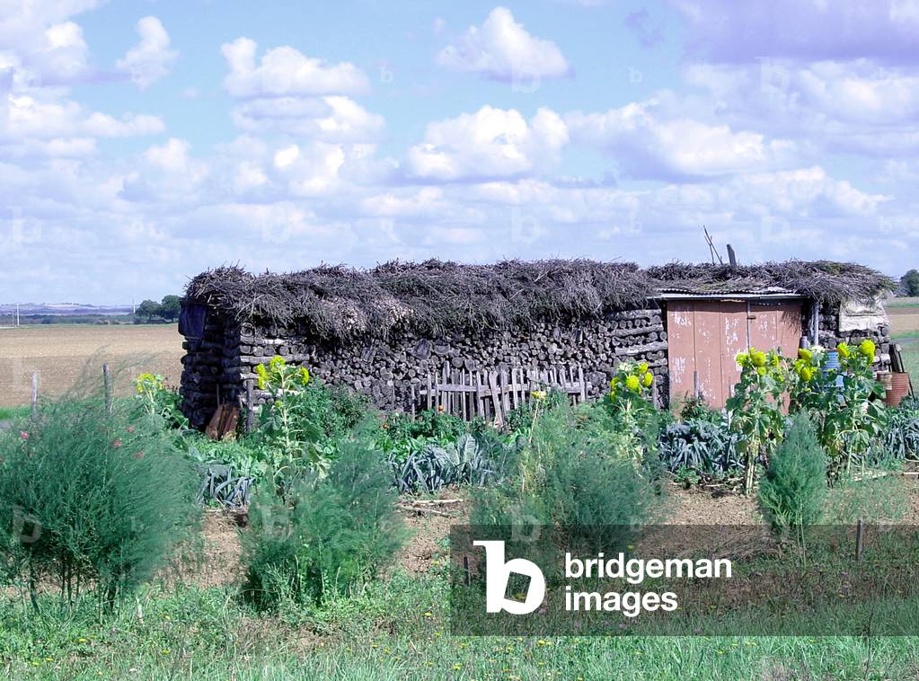 View of a rural home (photo)