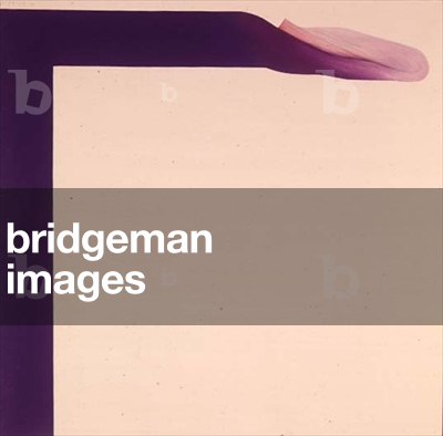 Quadrotico Bisucto, 1968 (acrylic on canvas)