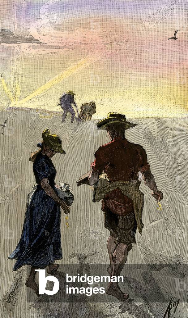History of the settlers and the conquete of the West: American pioneers. Farmers sowing seeds to grow cereal in the Great Plains in the United States, 1800s. Colourful engraving of the 19th century.