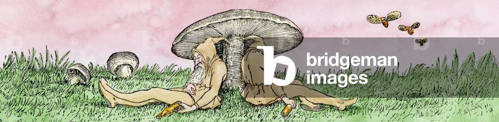 Engraving colorisee, 19th century - Gnomes sleeping beneath a mushroom - Hand-colored woodcut of a 19th century illustration