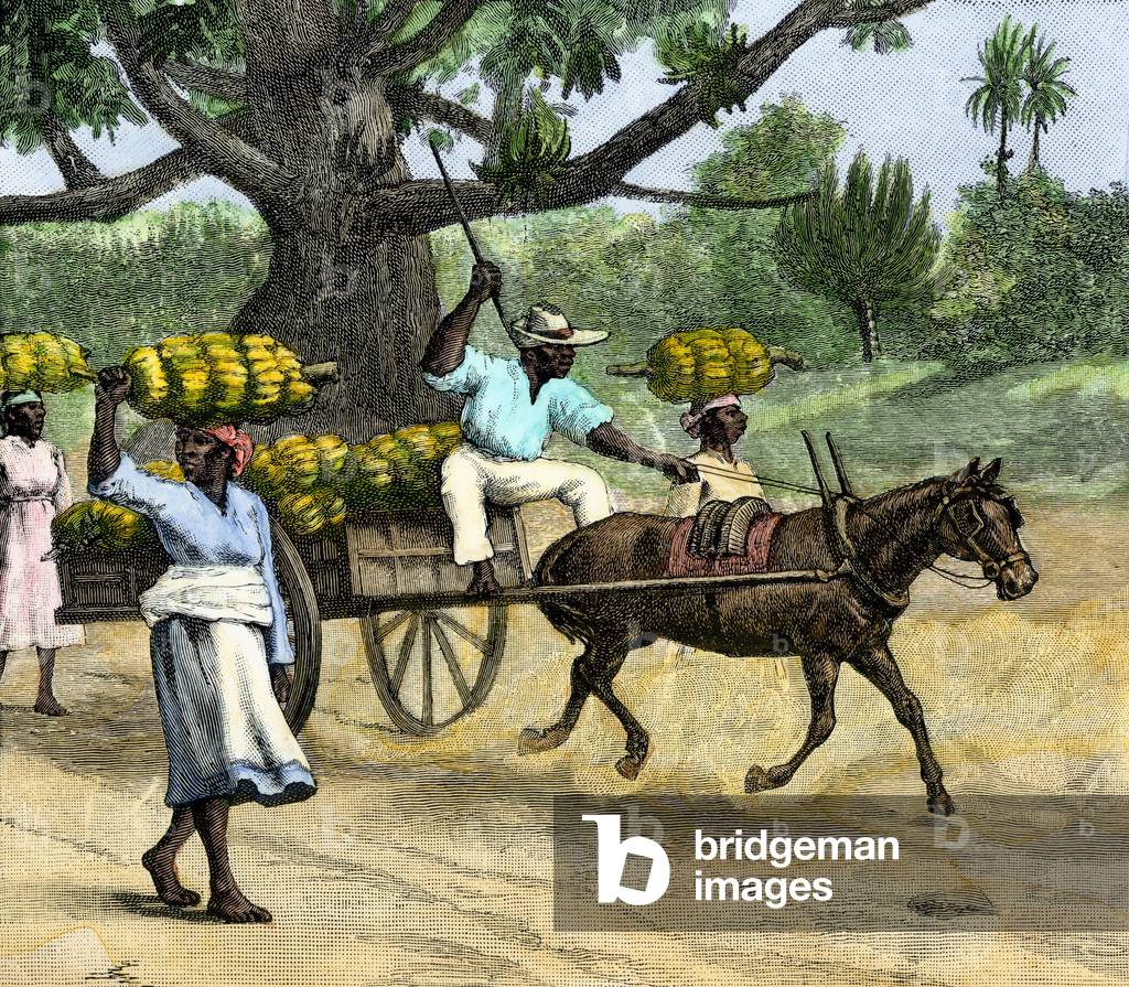 Bevölkerung und Kultur der Karibik: Bananen-Diät auf den Damm gebracht, Annatto Bay, Jamaika Jahre 1880.