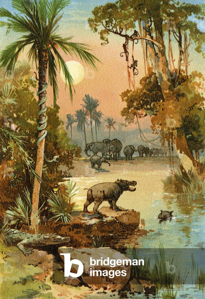 Elephants and hippos along the Congo River in Africa. Color lithograph of the 19th century