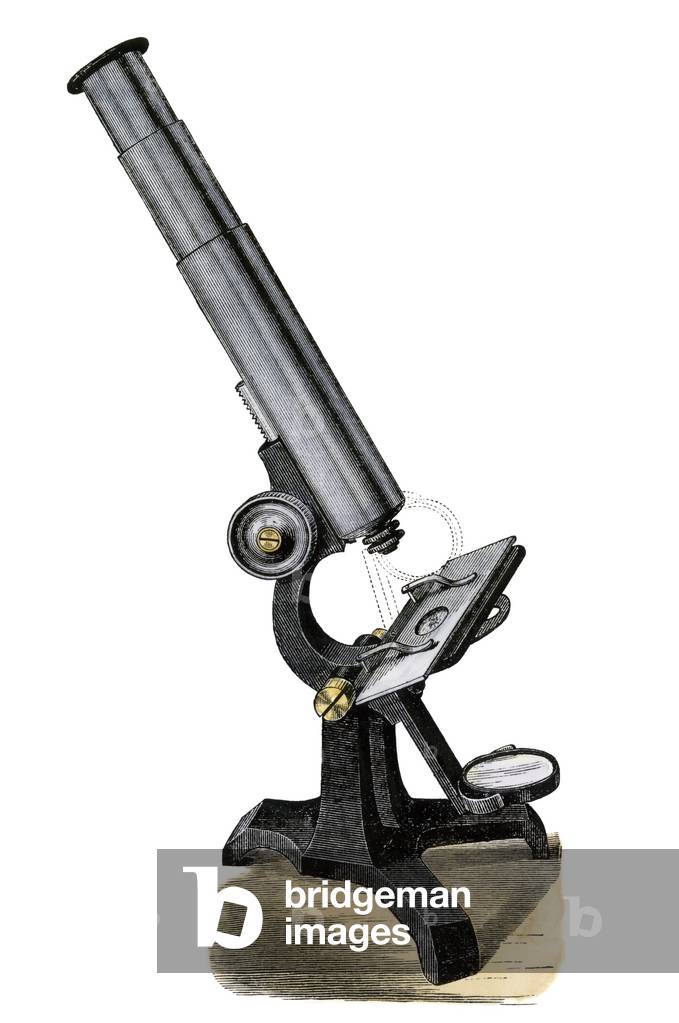 Microscope composes. United States. The years 1870. Colour engraving after a 19th century illustration.