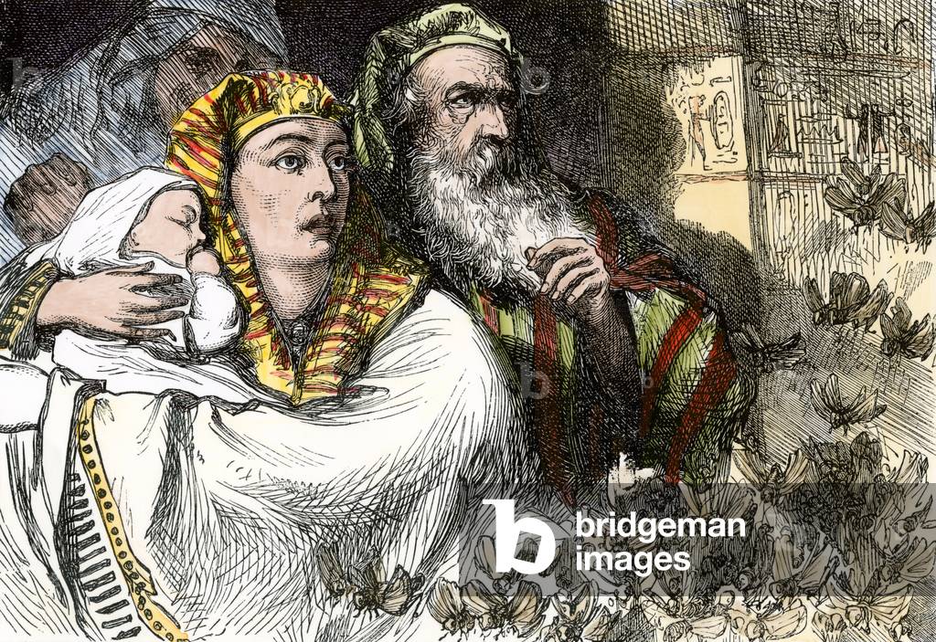 Old Testament: invasion of locusts in ancient Egypt (wounds of Egypt) Colour engraving of the 19th century