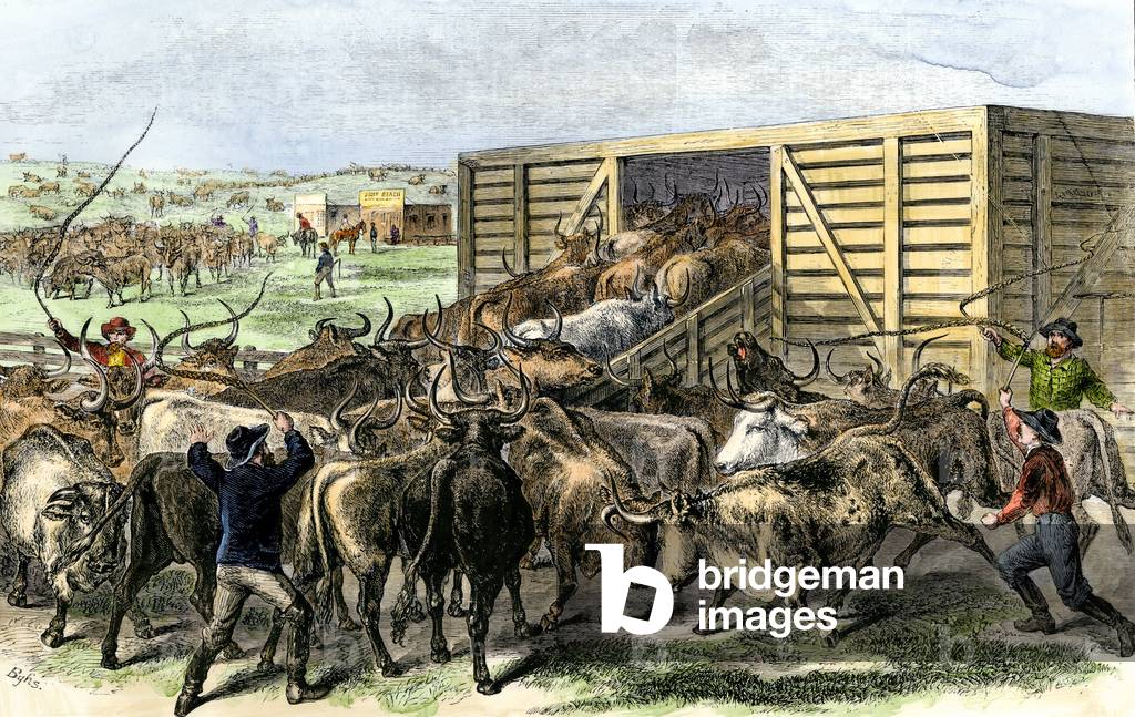 United States, Kansas: Loading cattle in Texas, Union Pacific Railway Railway in Abilene, Kansas, 1870. Colour engraving of the 19th century.