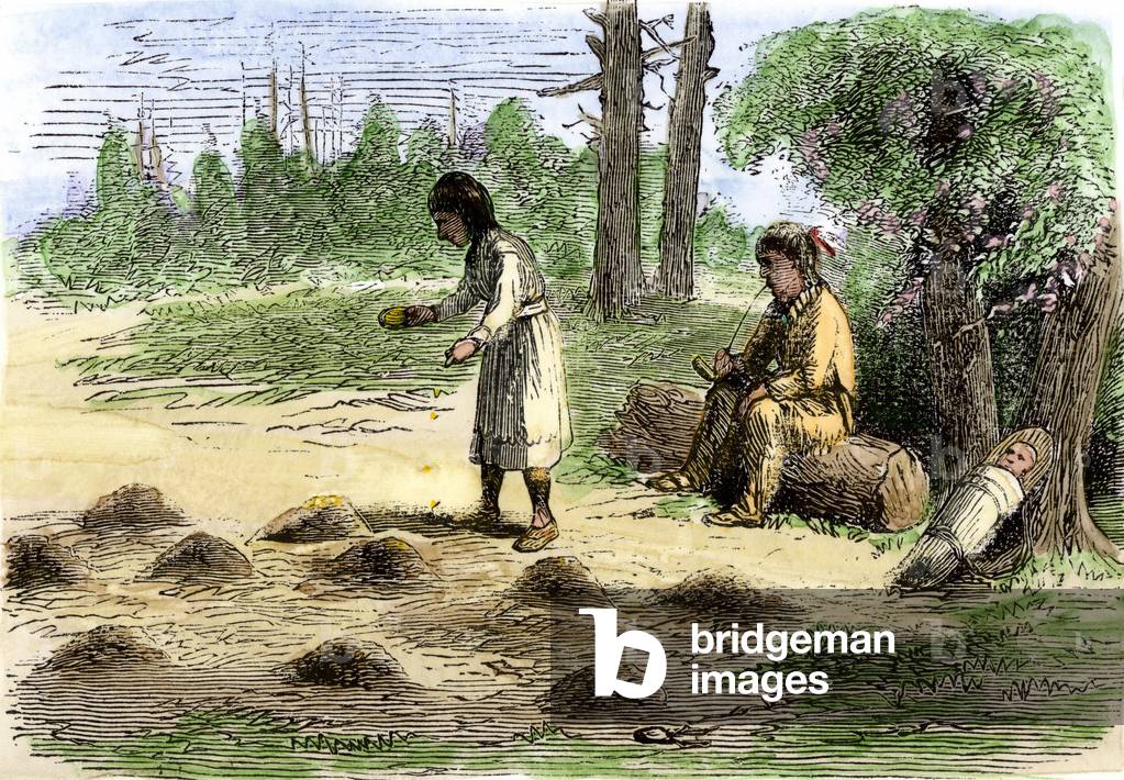 Indians of America: family of Indians of America planting a cornflower in a field. Colour engraving of the 19th century.