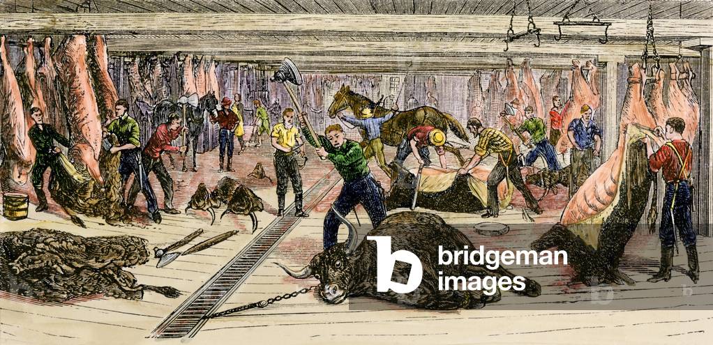 United States, Illinois: abbatement house in Chicago around 1880. Colour engraving of the 19th century.