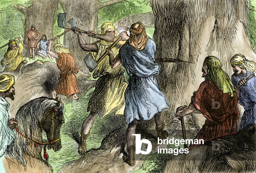 Solomon's servants cut off the cedar of Lebanon to build the temple of Jerusalem. Colour engraving of the 19th century