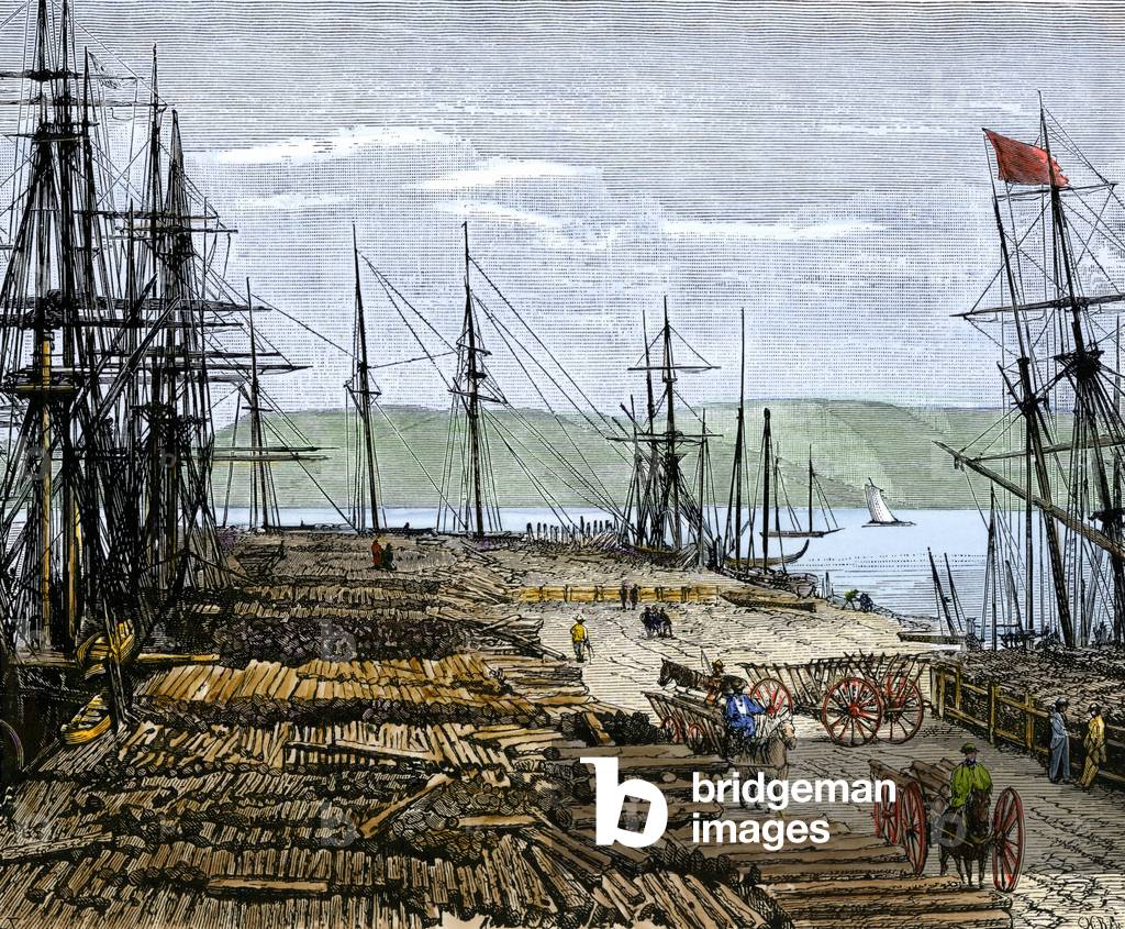 Tree trunk on the North Pacific Coast docks around 1880. Colourful engraving of the 19th century.