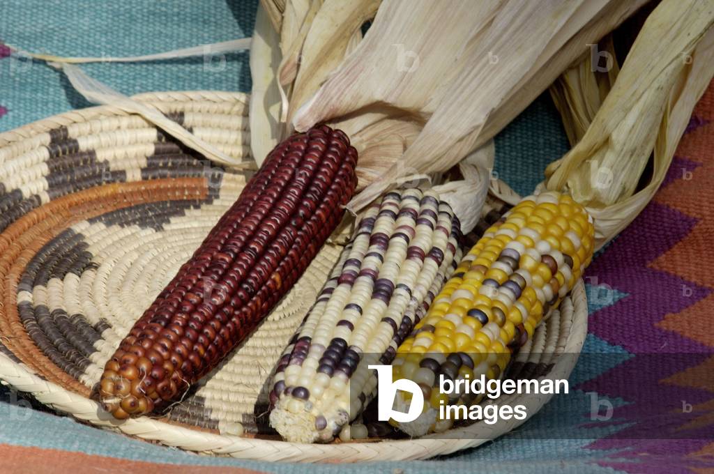 American Indian Basic Food: Multicoloured in a Handmade Donkey