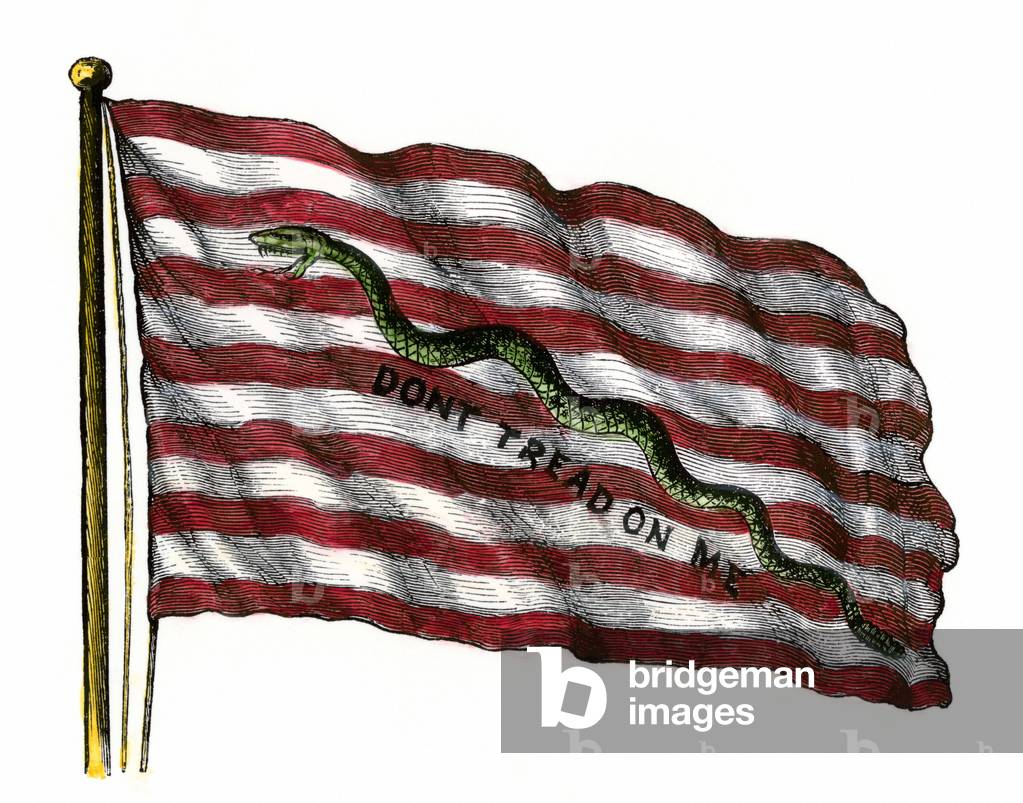 Guerre d'Independance des Etats Unis d'Amerique (1775-1783) : le drapon des colons ""Rattlesnake Flag"" (un se