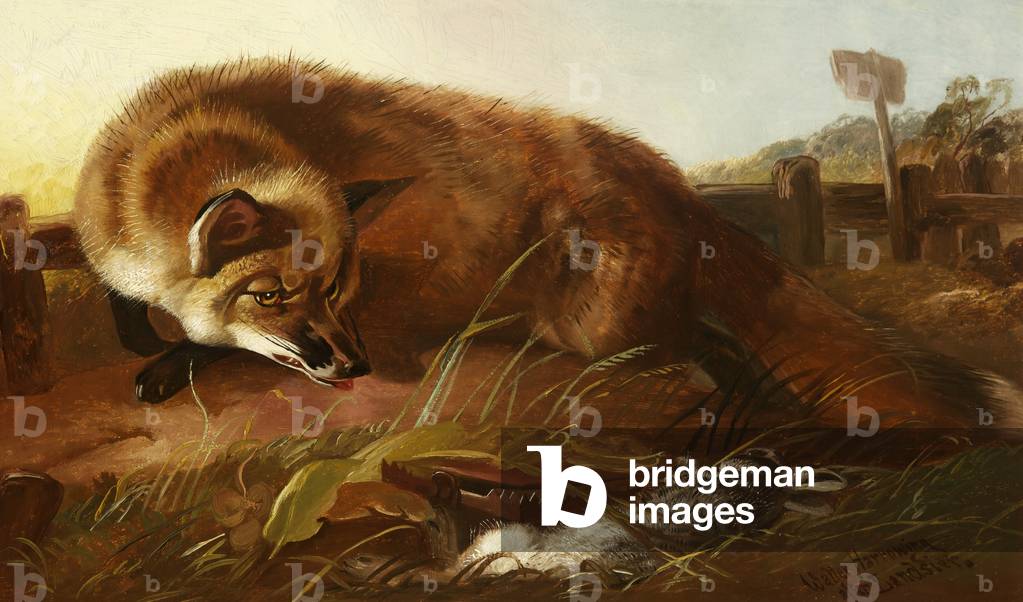 Fox, c.1880 (oil on canvas & wood)