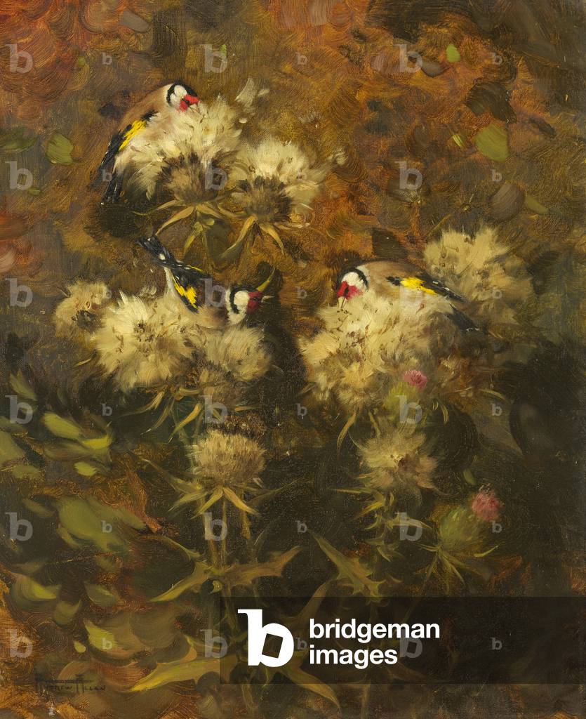 Goldfinches Feeding (oil on canvas)