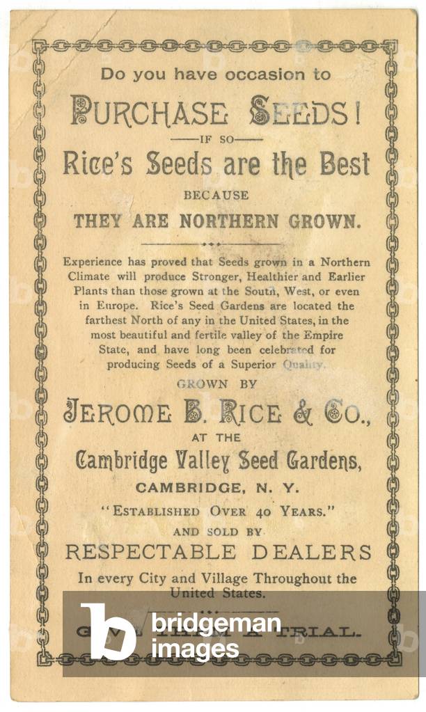 Advertisement for Rice's Seeds (colour litho) (verso of 3601174)
