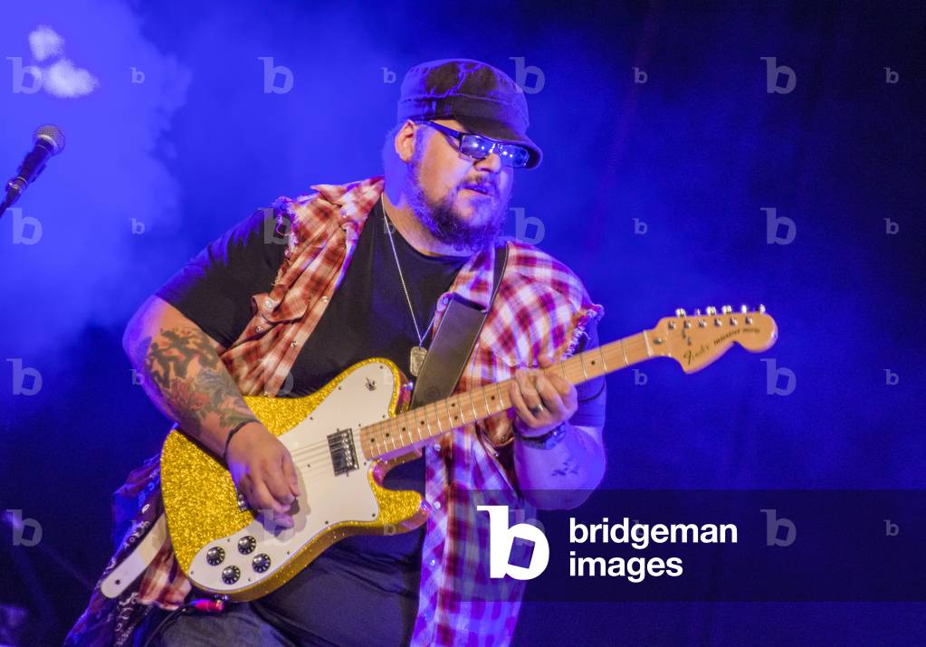 Guitarist playing a Gold Sparkle Fender Telecaster, 2016 (photo)