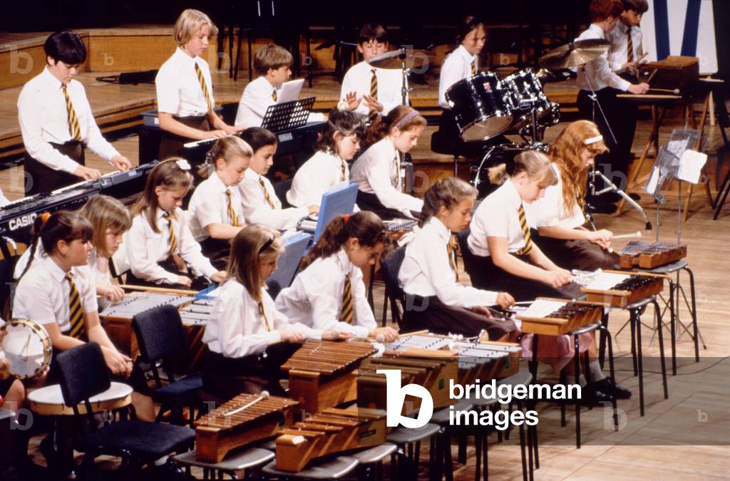 instruments - percussion percussion