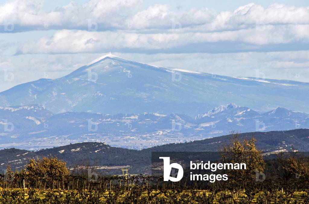 Cotes du Rhone, France