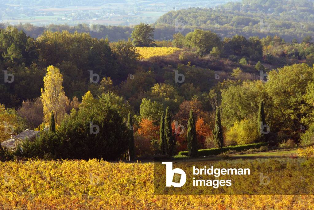 Cotes du Rhone, France
