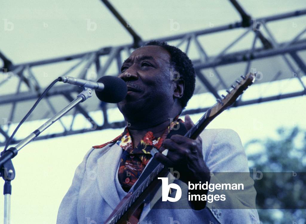 Muddy Waters - portrait
