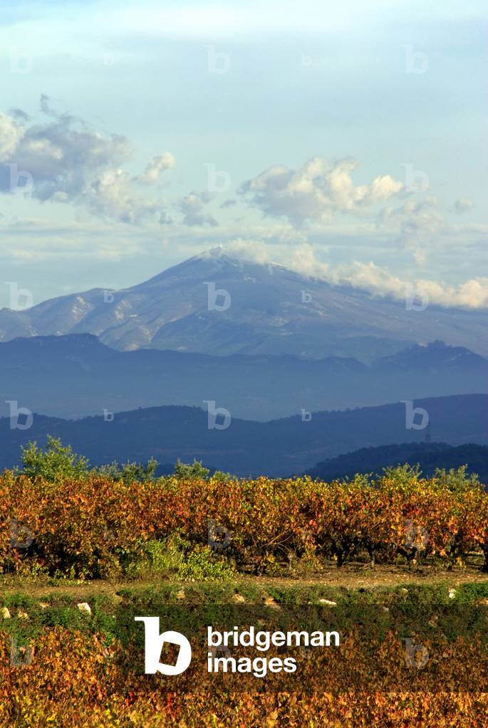 Cotes du Rhone, France
