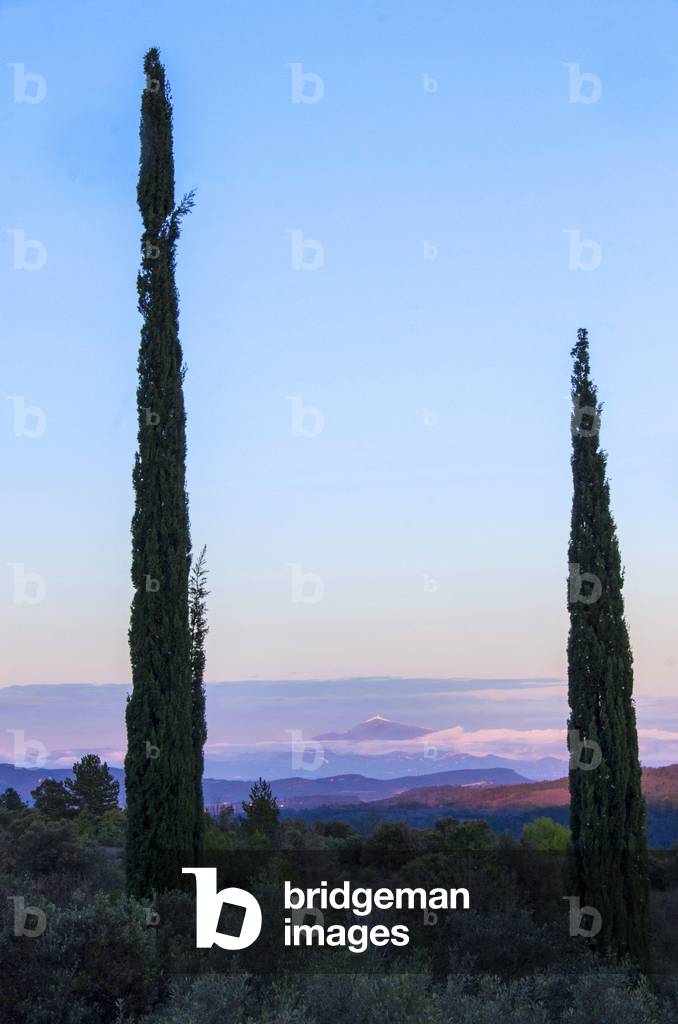 Cotes du Rhone, France