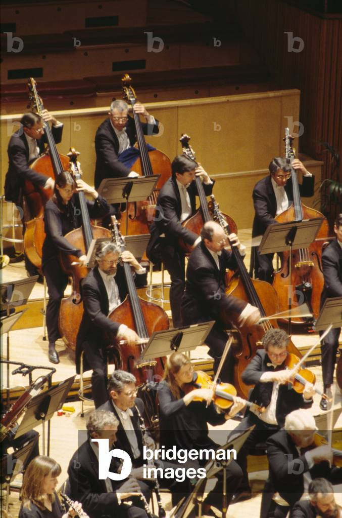 Double bass orchestral section