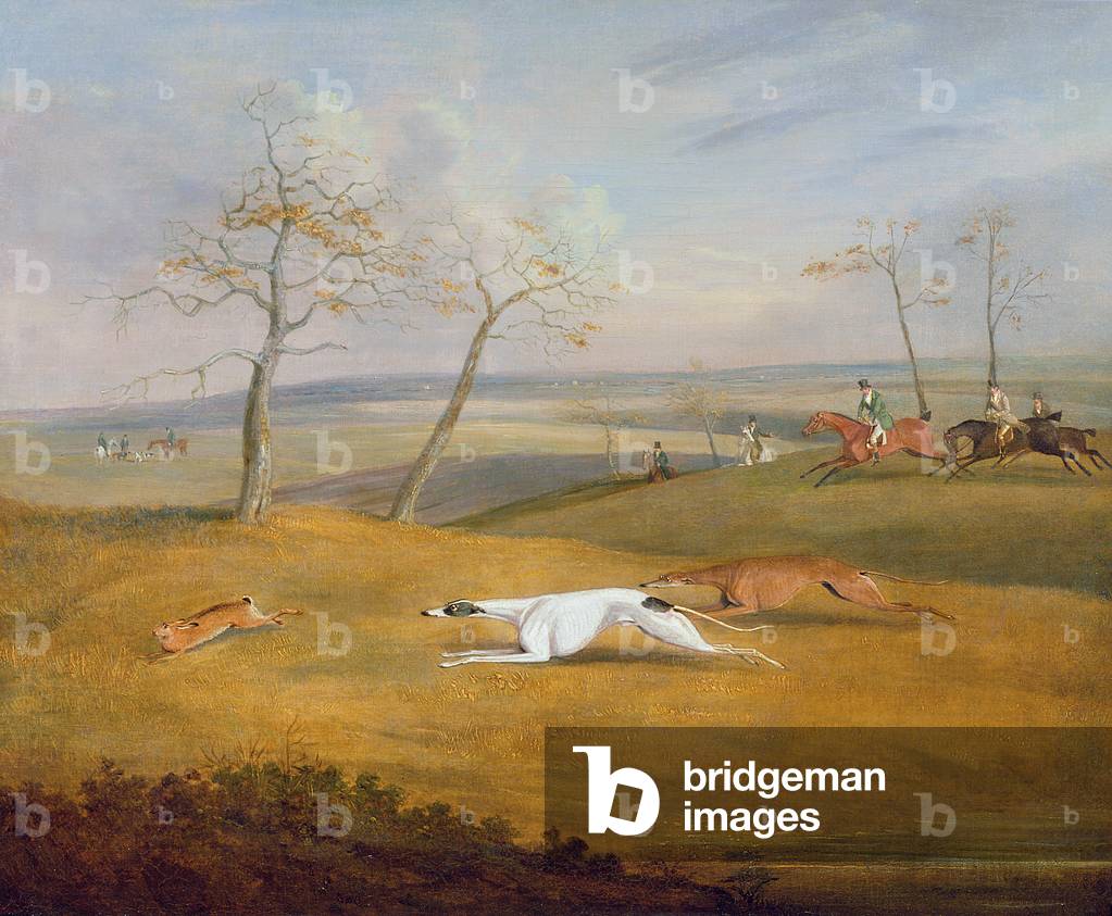 Coursing: the chase (oil on canvas) (see also 444841, 444842)