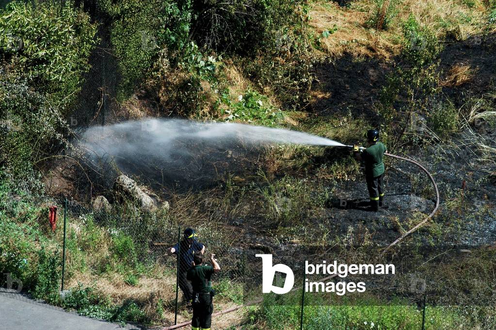 Firefighters respond to a forest fire in Italy (photo)