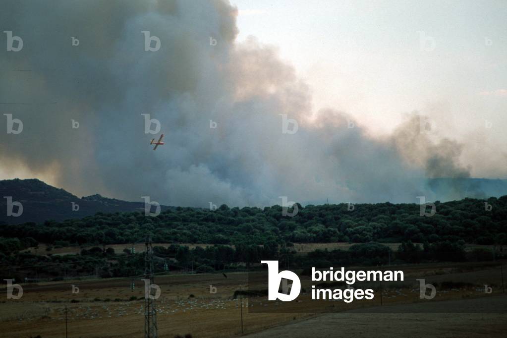 Canadairs fly over the flames of a fire, Villanova Alghero, Sardinia (photo)