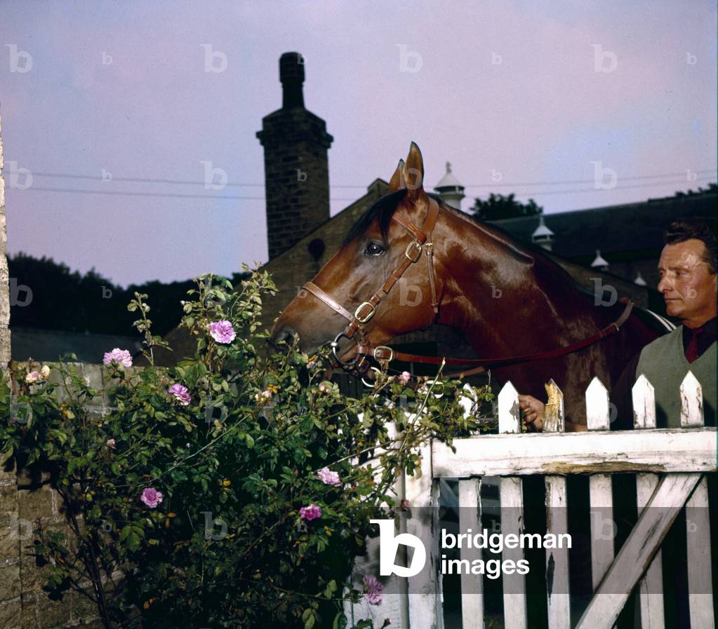 Le champion italien Ribot. © Farabola/ Leemage