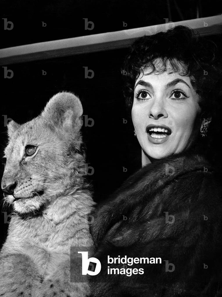 Gina Lollobrigida