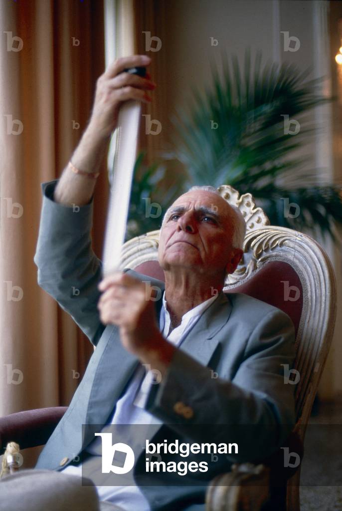 Mario Monicelli, 1990 (photo)