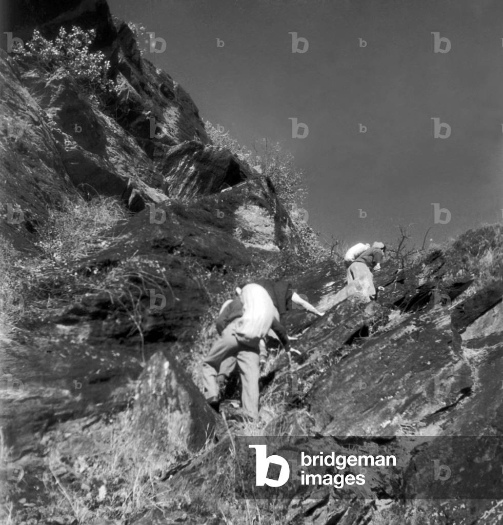 A group of smugglers crossing the mountains, their bags on their backs, Valtellina, Italy, 1940s (b/w photo)