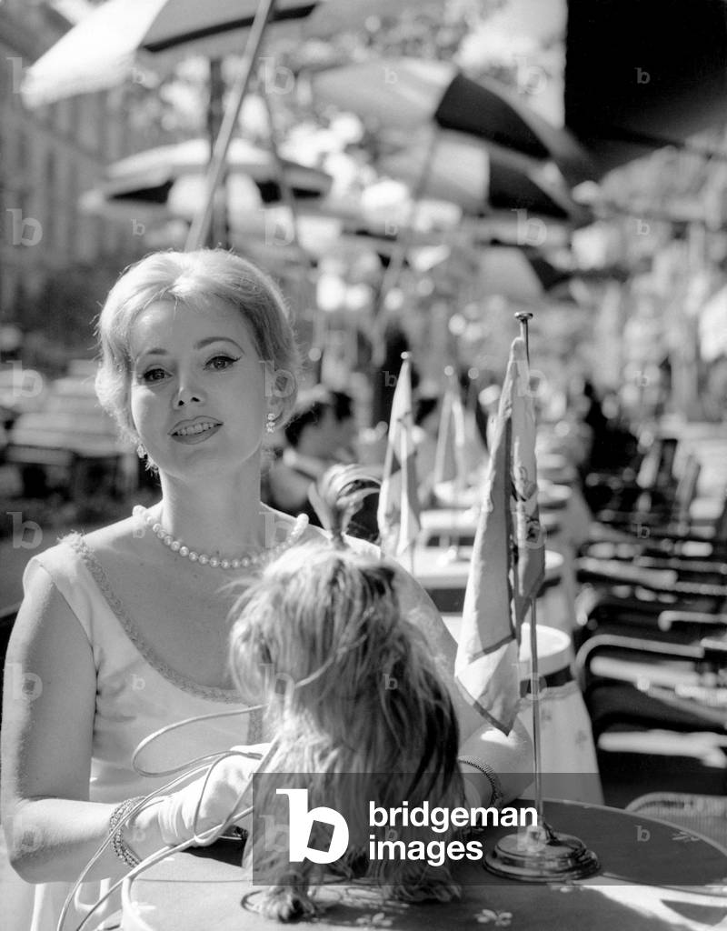 Zsa Zsa Gabor during the shooting of the film 