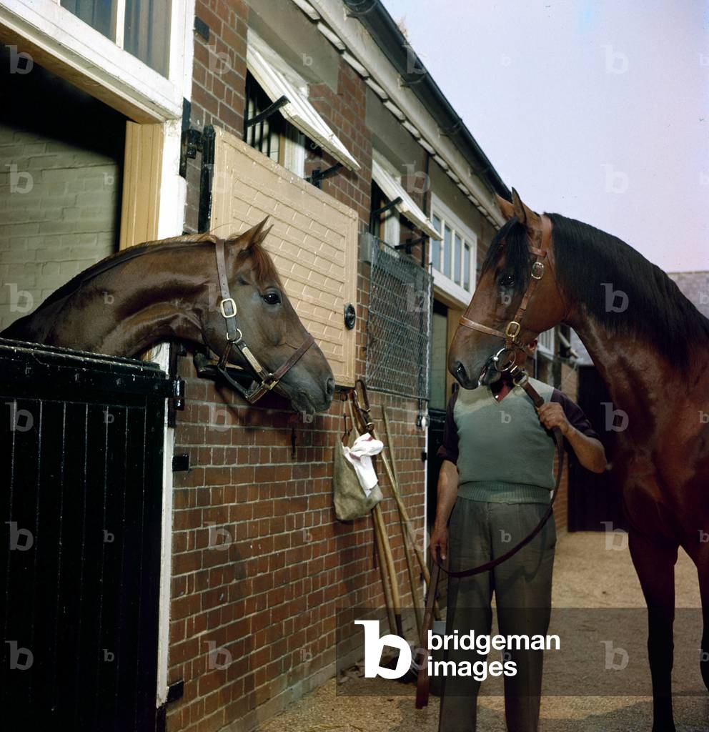 Le champion italien Ribot avec son cheval préféré De Magistris. © Farabola/ Leemage