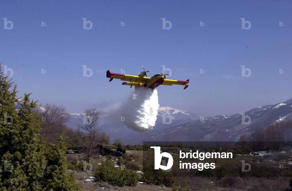 A Canadair aircraft flying over a burnt area, Italy, 2003 (photo)