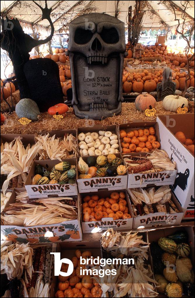 Haloween aux Etats-Unis