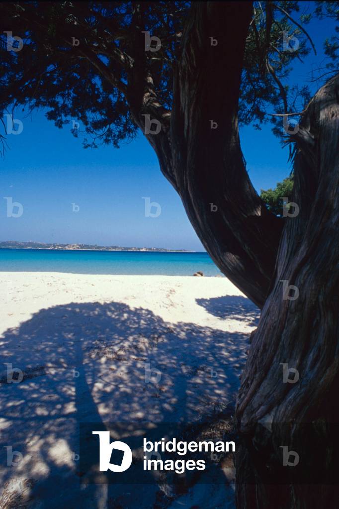 View of Liscia Ruia beach, Porto Cervo, Sardinia (photo)