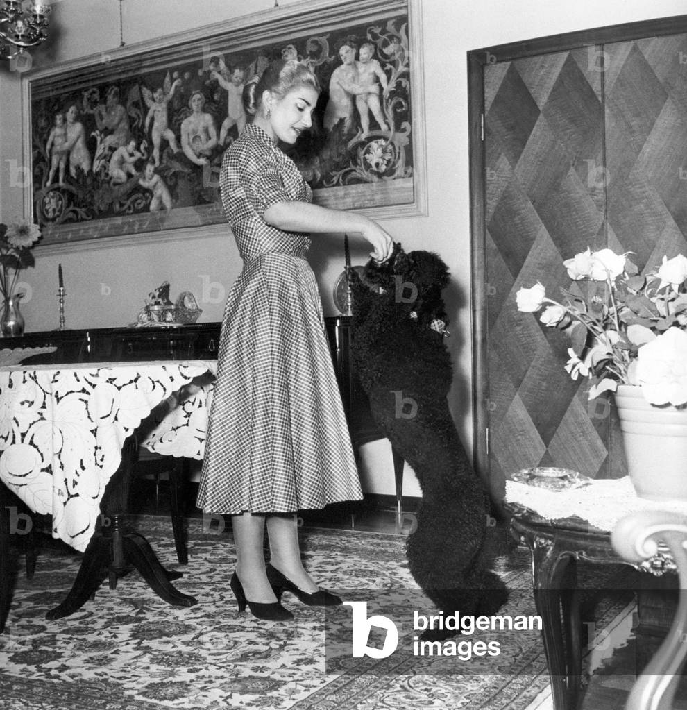 Maria Callas at home with her dog, Milan, 1957 (b/w photo)