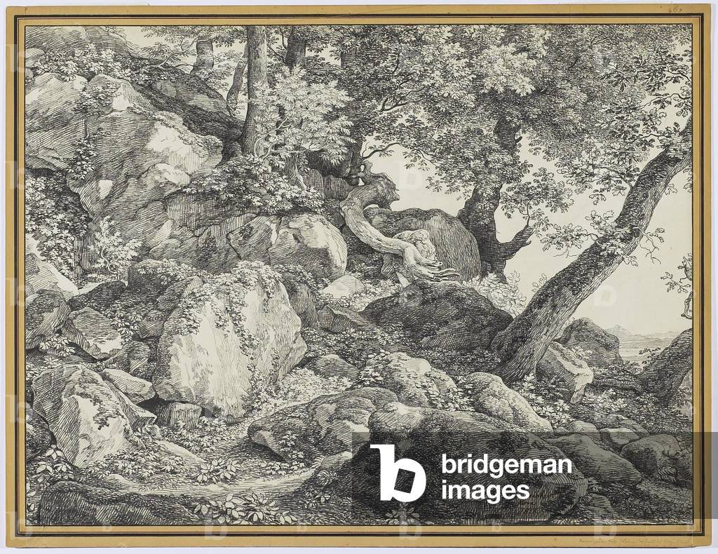 In the Park of the Palazzo Chigi, Ariccia, 1818 (graphite & black chalk on laid paper)