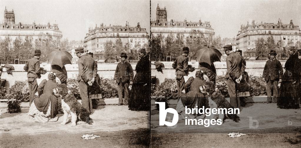 Stereoscopic view of a flower market, Paris, 1890 (b/w photo)